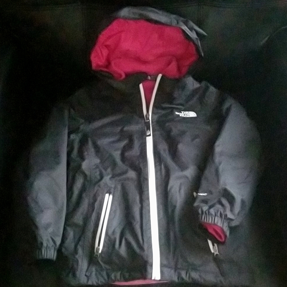 The North Face Hooded 3 in 1 Triclimate Jacket